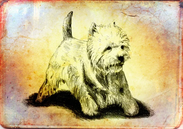 有趣的狗艺术插图复古背景 — 图库照片