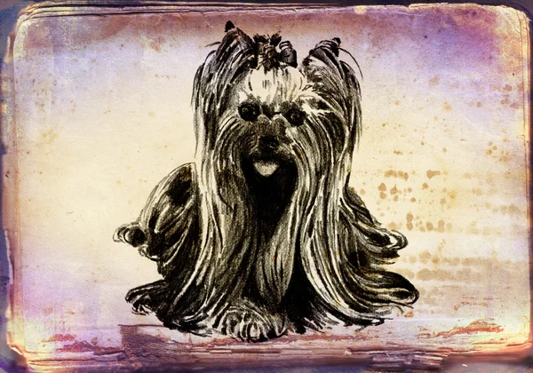 Funny dog art illustration on vintage background