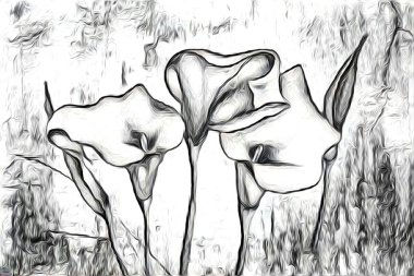 Soyutlama çiçek sanat illüstrasyon