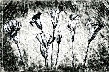 Soyutlama çiçek sanat illüstrasyon