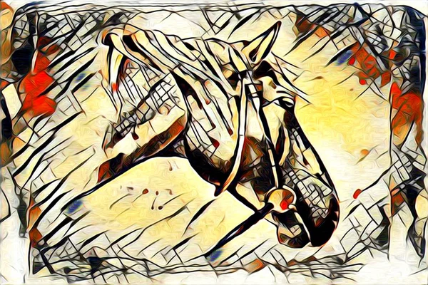Pintura a óleo original de um belo cavalo árabe — Fotografia de Stock