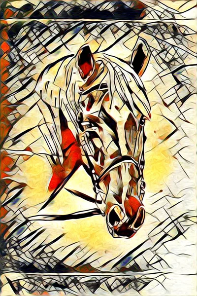 Peinture à l'huile originale d'un cheval arabe fin — Photo