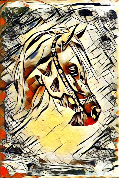 Оригинальная картина маслом прекрасной арабской лошади — стоковое фото