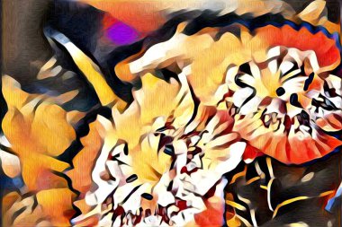 Soyutlama çiçek sanat illüstrasyon