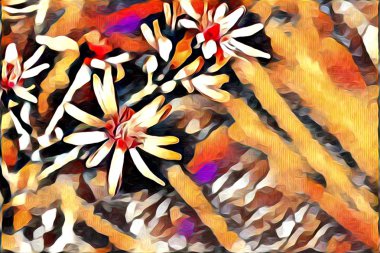 Soyutlama çiçek sanat illüstrasyon