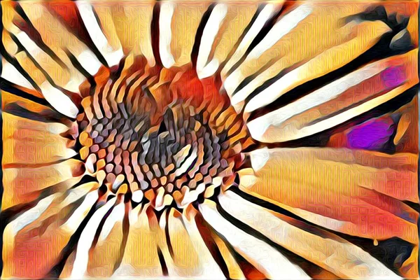 Illusztráció absztrakció virág — Stock Fotó