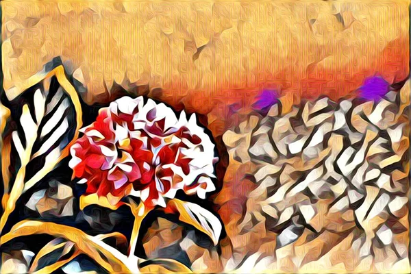 Abstraction flower art illustration — Stock Photo, Image