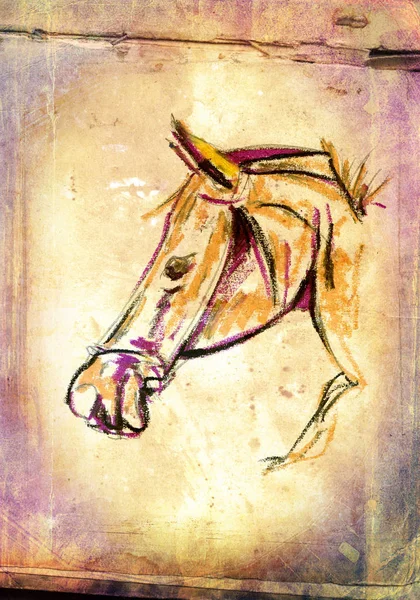 Freehand horse surreal painting — Stock Photo, Image