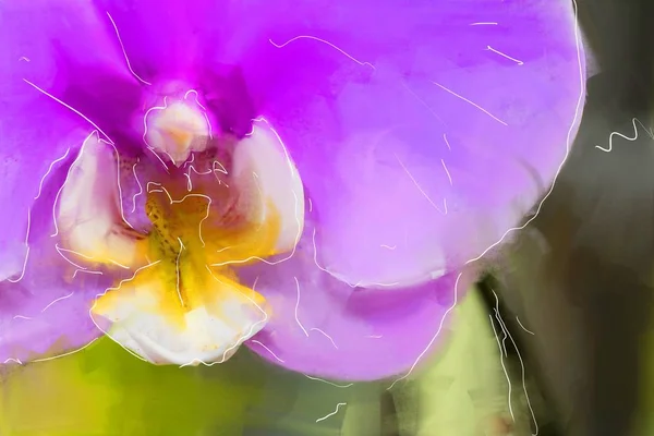 Peinture à l'huile avec illustration d'art fleur orchidée — Photo