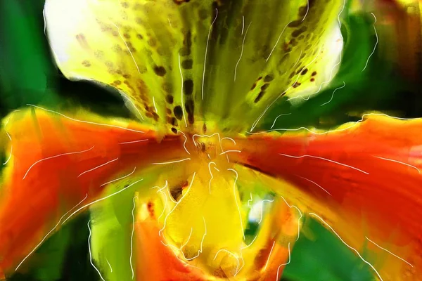 Pintura al óleo con ilustración de arte flor orquídea —  Fotos de Stock