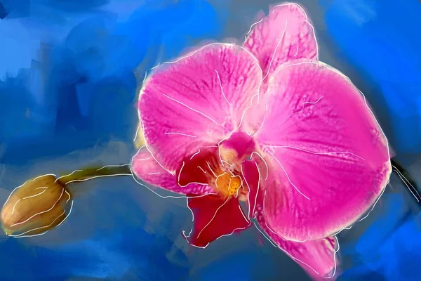 アート イラスト花蘭のオイル ペイント — ストック写真