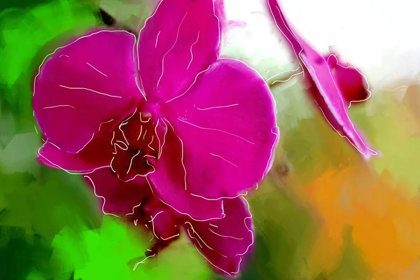 Ölfarbe mit Kunst Illustration Blume Orchidee — Stockfoto