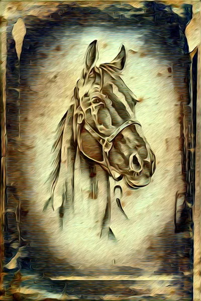 Freehand horse illustration painting — Stock Photo, Image