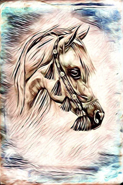 Freehand horse illustration painting — Stock Photo, Image