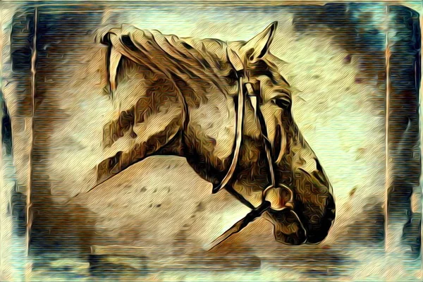 Freehand horse illustration painting — Stock Photo, Image