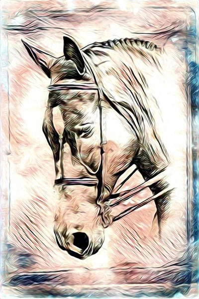 FreeHand paard illustratie schilderij — Stockfoto