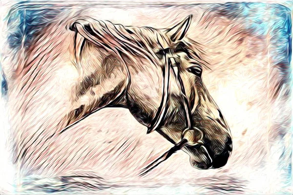 Freehand horse illustration painting — Stock Photo, Image