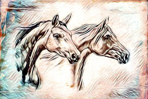 Illustration de cheval à main levée — Photo