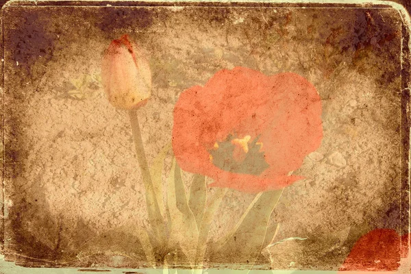Latar belakang vintage dengan gambar seni bunga — Stok Foto