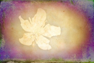 Sanat illüstrasyonu çiçekli klasik arkaplan