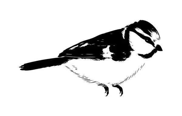 Vogelkunst-Illustration — Stockfoto