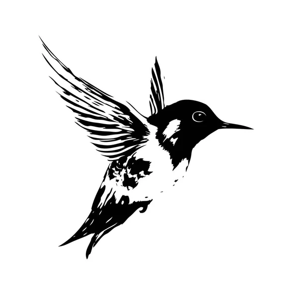 Vogel kunst illustratie — Stockfoto