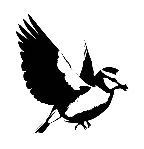 Εικονογράφηση τέχνη πουλί — Φωτογραφία Αρχείου