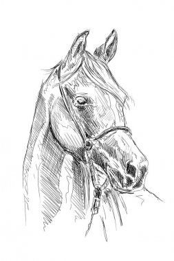 serbest el at baş karakalem