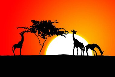Afrikalı etnik retro-klasik illüstrasyon