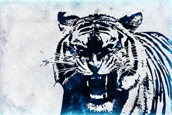 Tygrys sztuki ilustracja kolor — Zdjęcie stockowe