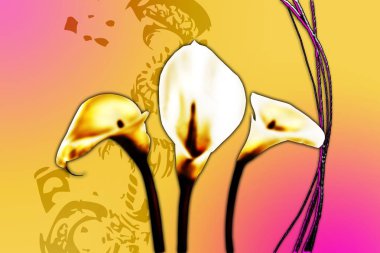 Sanat illüstrasyonu çiçekli klasik arkaplan