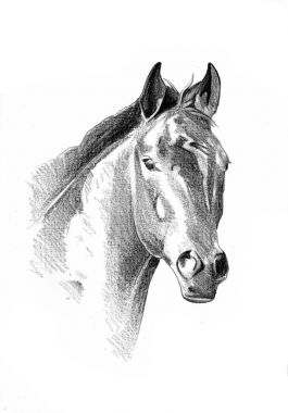 serbest el at baş karakalem