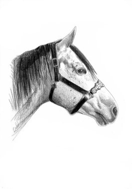 serbest el at baş karakalem