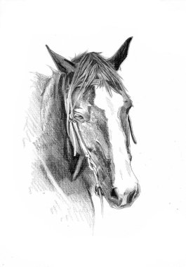 serbest el at baş karakalem