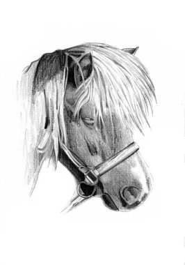 serbest el at baş karakalem