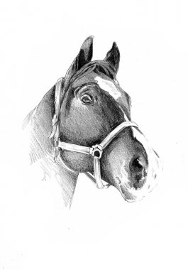 serbest el at baş karakalem