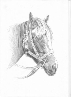 serbest el at baş karakalem