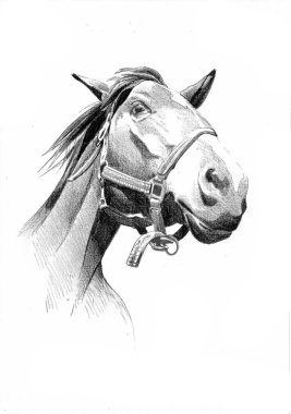 serbest el at baş karakalem