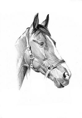 serbest el at baş karakalem