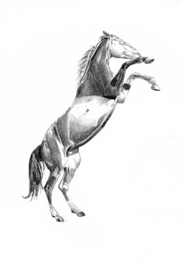 serbest el at baş karakalem