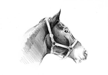 serbest el at baş karakalem