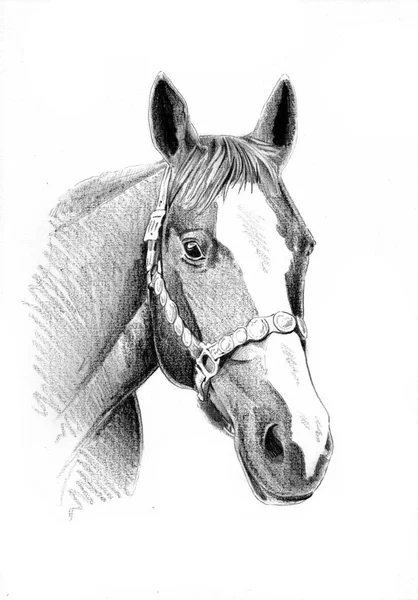 serbest el at baş karakalem