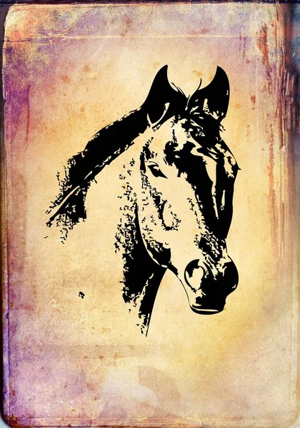 Dibujo a mano alzada cabeza de caballo lápiz —  Fotos de Stock