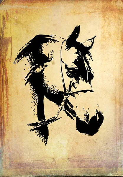 Disegno a matita testa di cavallo a mano libera — Foto Stock