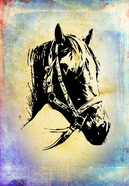 Tête de cheval à main levée dessin au crayon — Photo