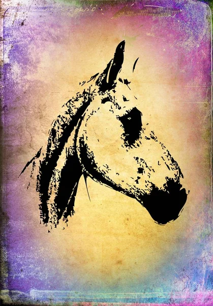 Вільний кінь голова олівець малюнок — стокове фото