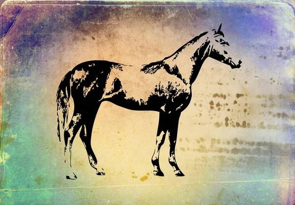 Freihand Pferdekopf Bleistiftzeichnung — Stockfoto