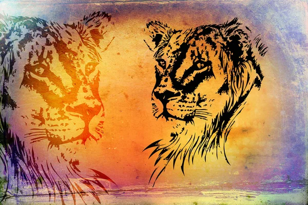 Χρώμα εικονογράφηση τέχνη τίγρης — Φωτογραφία Αρχείου