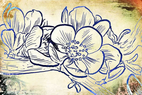 Vintage sfondo con arte illustrazione fiore — Foto Stock