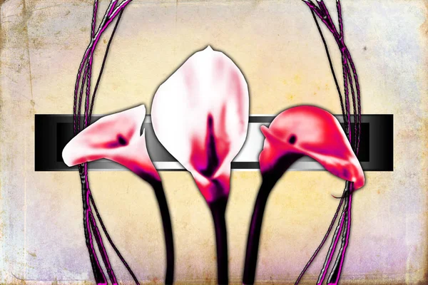 Vintage Hintergrund mit Kunst Illustration Blume — Stockfoto